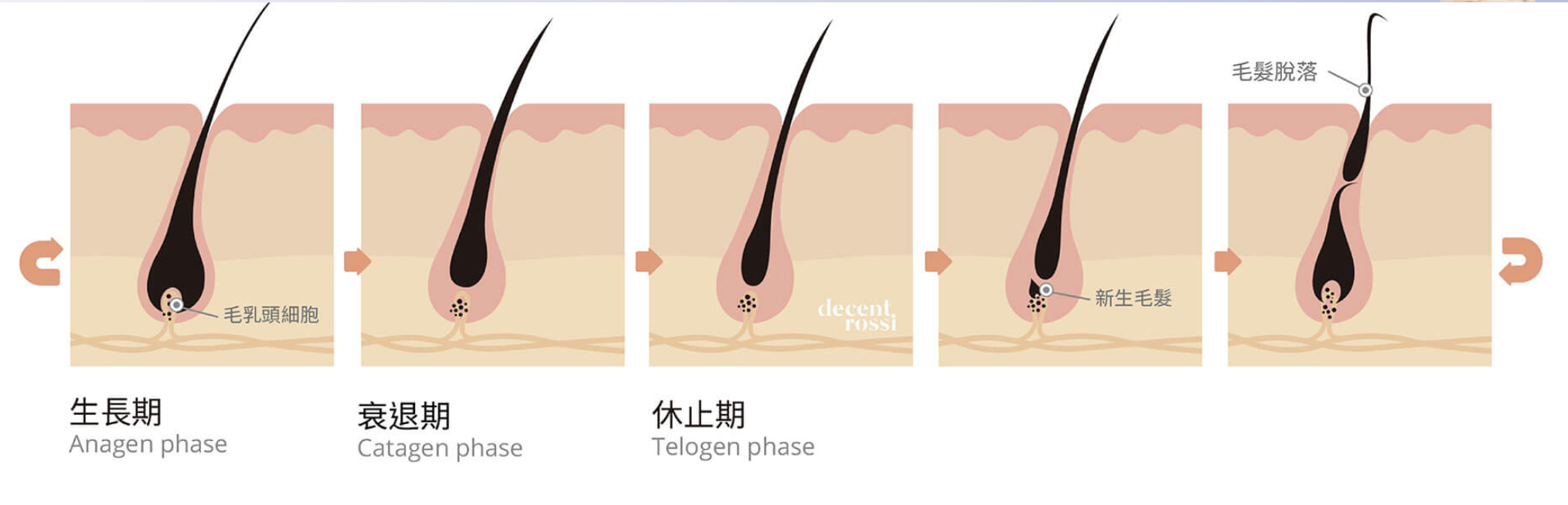 "海神除毛"是什麼？會痛嗎？可以維持多久？